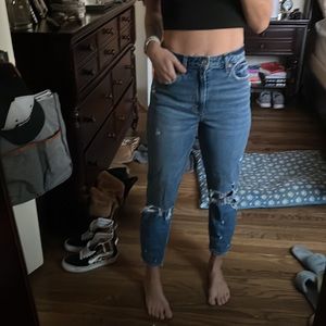 Abercrombie and Fitch Mom High Rise Petite